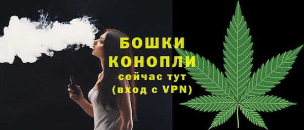 гидра Нязепетровск