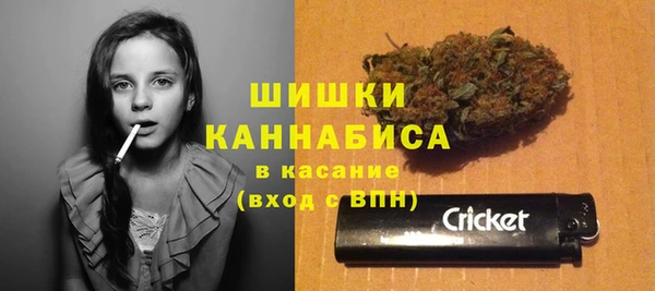 МДПВ Осинники