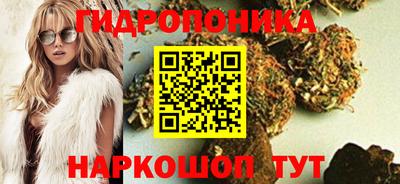 стаф Краснодар