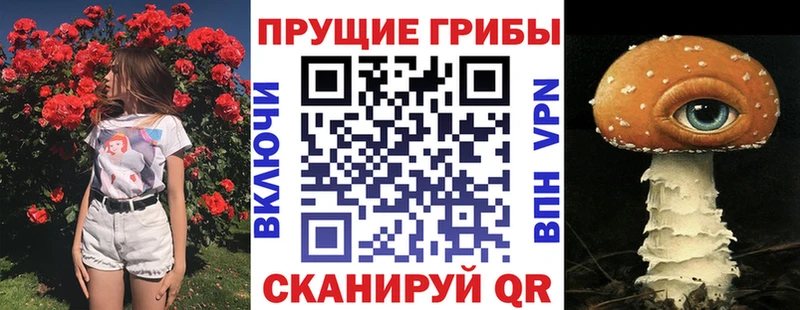 закладки  Луга  Галлюциногенные грибы мицелий 