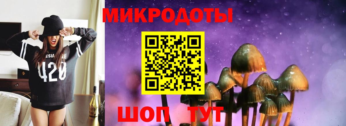 Псилоцибиновые грибы Psilocybine cubensis Луга