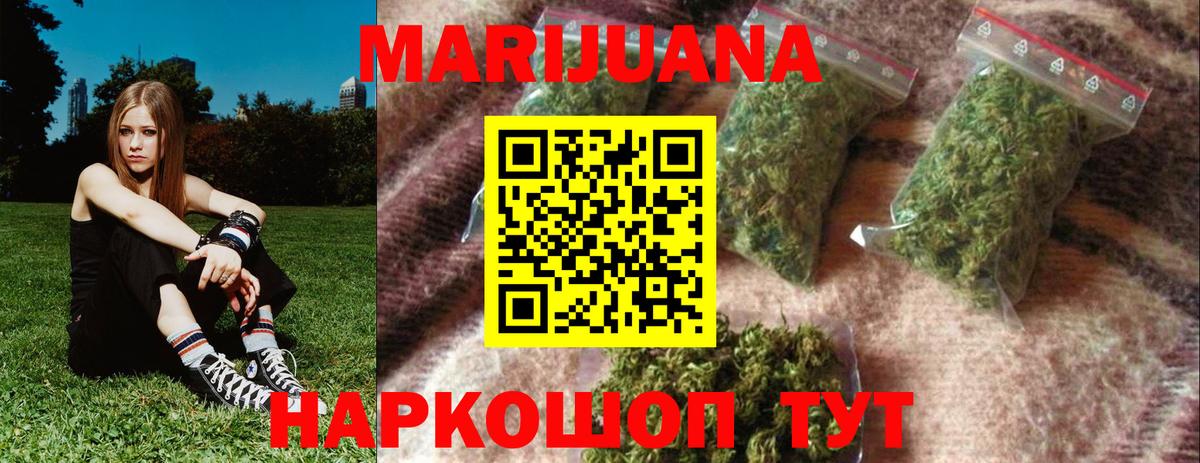 Канабис индика Луга