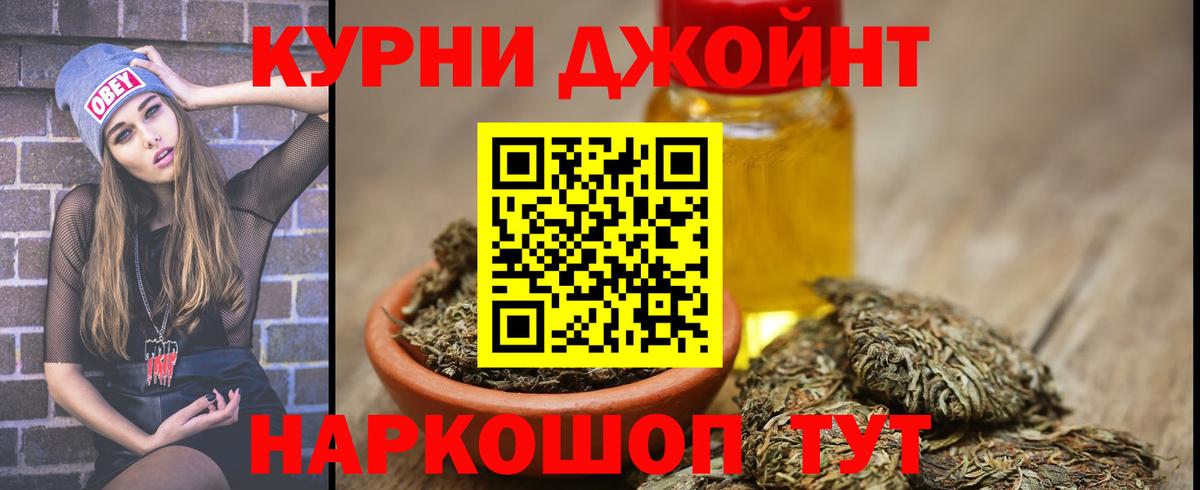 Конопля MAZAR  Вход с VPN  Канабис планчик  Луга 